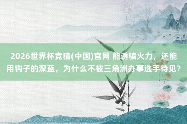 2026世界杯竞猜(中国)官网 能诱骗火力,还能用钩子的深蓝,为什么不被三角洲办事选手待见?