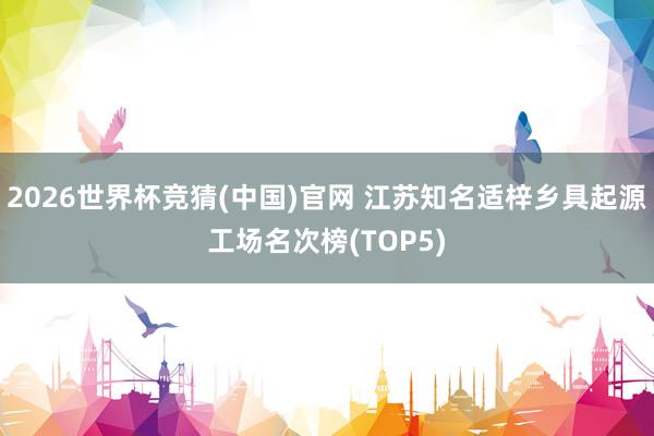 2026世界杯竞猜(中国)官网 江苏知名适梓乡具起源工场名次榜(TOP5)