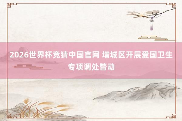 2026世界杯竞猜中国官网 增城区开展爱国卫生专项调处瞥动