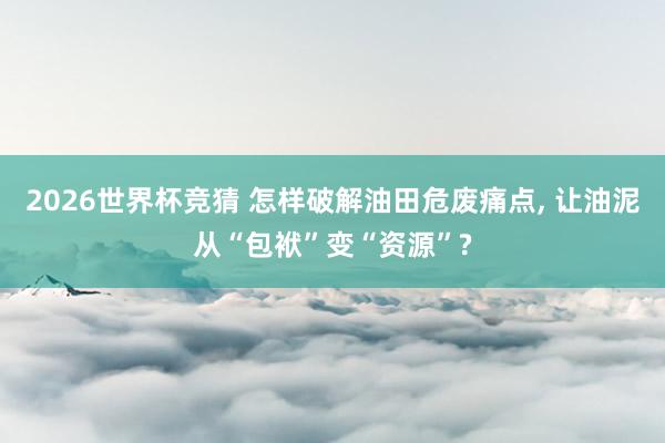 2026世界杯竞猜 怎样破解油田危废痛点， 让油泥从“包袱”变“资源”?