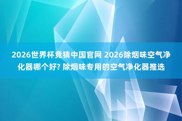 2026世界杯竞猜中国官网 2026除烟味空气净化器哪个好? 除烟味专用的空气净化器推选