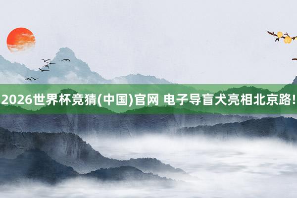 2026世界杯竞猜(中国)官网 电子导盲犬亮相北京路!