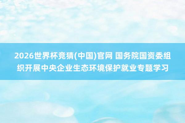 2026世界杯竞猜(中国)官网 国务院国资委组织开展中央企业生态环境保护就业专题学习