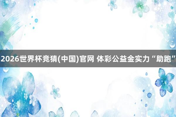 2026世界杯竞猜(中国)官网 体彩公益金实力“助跑”