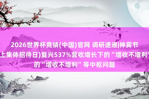2026世界杯竞猜(中国)官网 调研速递|神雾节能(投资者网上集体招待日)复兴537%营收增长下的“增收不增利”等中枢问题