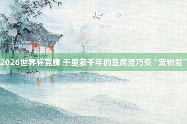 2026世界杯竞猜 千里寂千年的豆腐渣巧变“宠物爱”