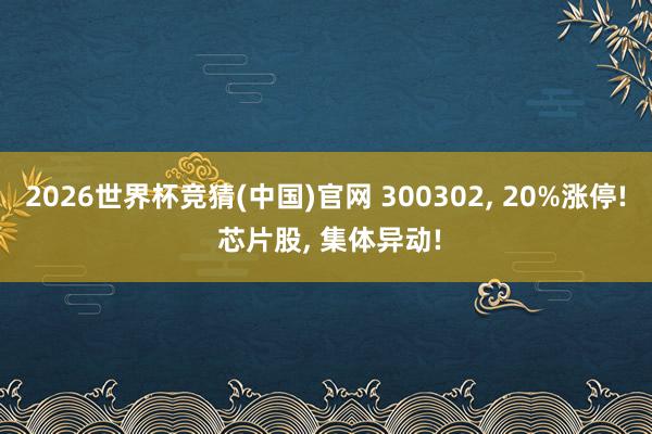 2026世界杯竞猜(中国)官网 300302, 20%涨停! 芯片股, 集体异动!