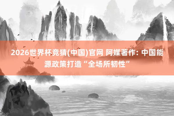 2026世界杯竞猜(中国)官网 阿媒著作: 中国能源政策打造“全场所韧性”