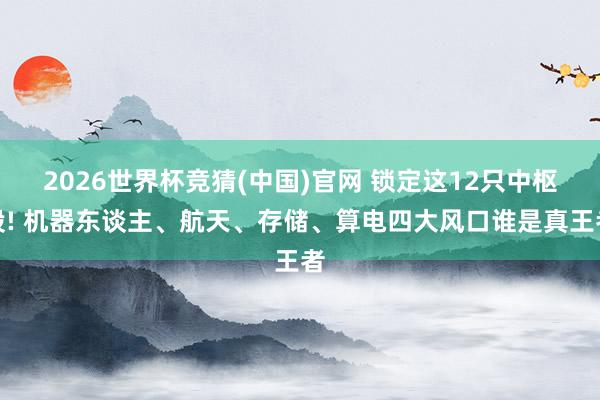 2026世界杯竞猜(中国)官网 锁定这12只中枢股! 机器东谈主、航天、存储、算电四大风口谁是真王者