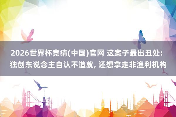 2026世界杯竞猜(中国)官网 这案子最出丑处: 独创东说念主自认不造就， 还想拿走非渔利机构