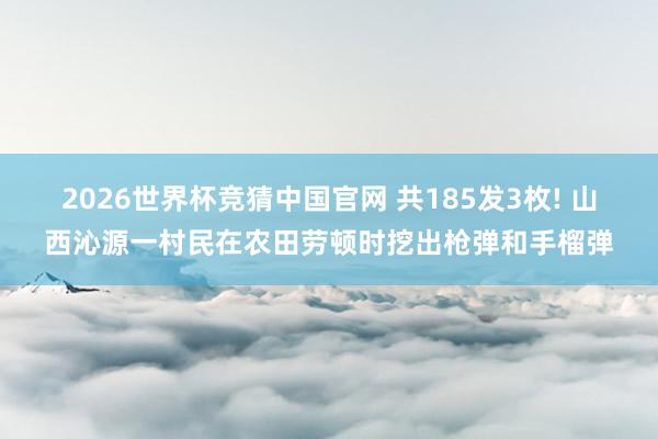 2026世界杯竞猜中国官网 共185发3枚! 山西沁源一村民在农田劳顿时挖出枪弹和手榴弹