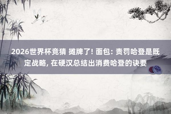 2026世界杯竞猜 摊牌了! 面包: 责罚哈登是既定战略, 在硬汉总结出消费哈登的诀要