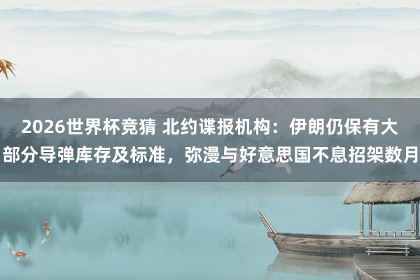 2026世界杯竞猜 北约谍报机构:伊朗仍保有大部分导弹库存及标准,弥漫与好意思国不息招架数月