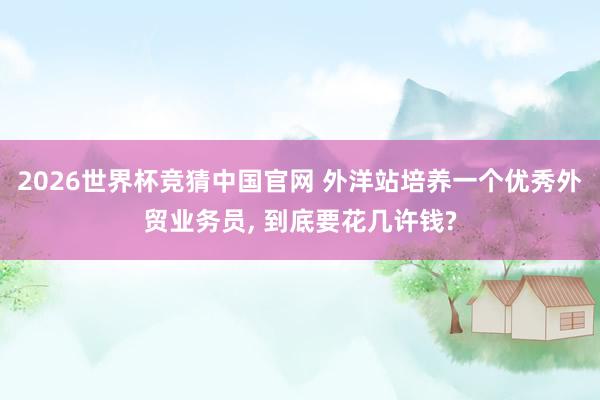 2026世界杯竞猜中国官网 外洋站培养一个优秀外贸业务员, 到底要花几许钱?