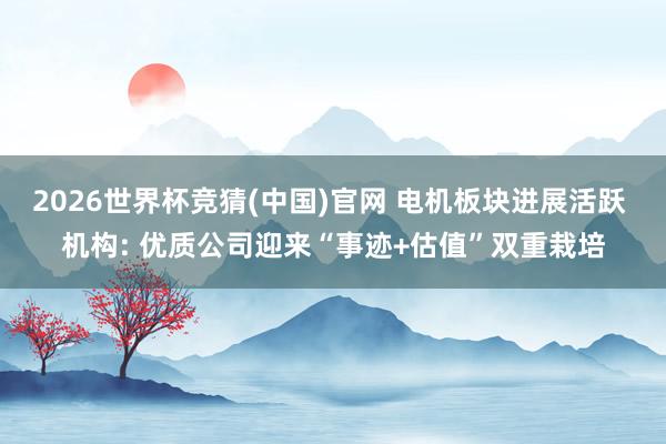 2026世界杯竞猜(中国)官网 电机板块进展活跃 机构: 优质公司迎来“事迹+估值”双重栽培