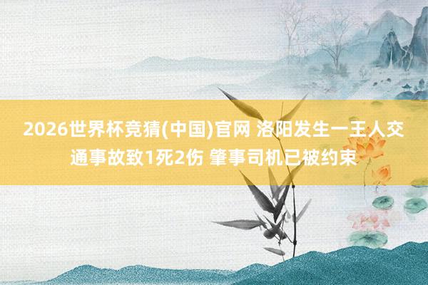 2026世界杯竞猜(中国)官网 洛阳发生一王人交通事故致1死2伤 肇事司机已被约束