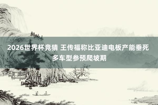 2026世界杯竞猜 王传福称比亚迪电板产能垂死 多车型参预爬坡期
