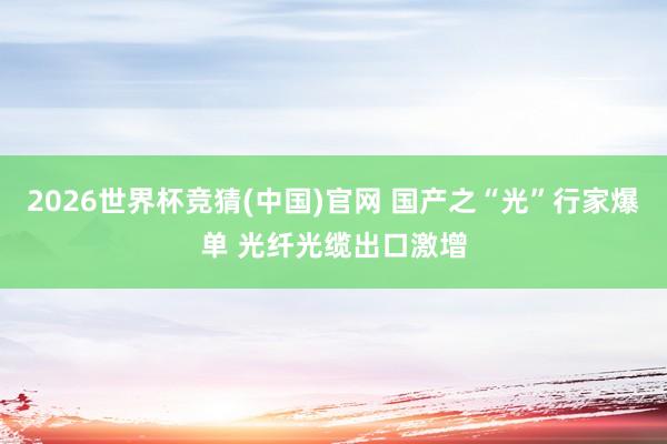 2026世界杯竞猜(中国)官网 国产之“光”行家爆单 光纤光缆出口激增