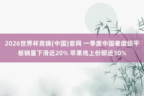 2026世界杯竞猜(中国)官网 一季度中国奢靡级平板销量下滑近20% 苹果线上份额近30%