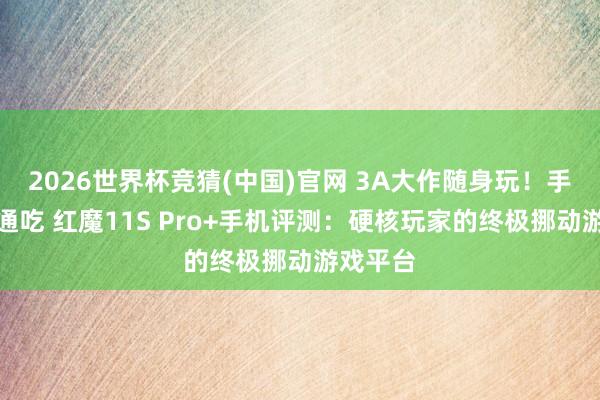 2026世界杯竞猜(中国)官网 3A大作随身玩!手游端游通吃 红魔11S Pro+手机评测:硬核玩家的终极挪动游戏平台