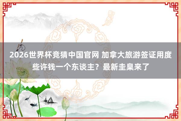 2026世界杯竞猜中国官网 加拿大旅游签证用度些许钱一个东谈主?最新圭臬来了