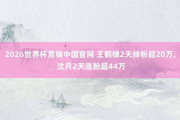 2026世界杯竞猜中国官网 王鹤棣2天掉粉超20万, 沈月2天涨粉超44万