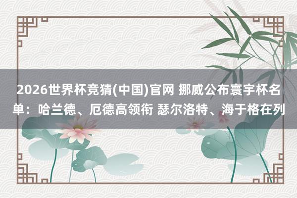 2026世界杯竞猜(中国)官网 挪威公布寰宇杯名单:哈兰德、厄德高领衔 瑟尔洛特、海于格在列