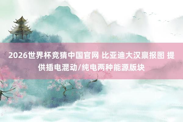 2026世界杯竞猜中国官网 比亚迪大汉禀报图 提供插电混动/纯电两种能源版块