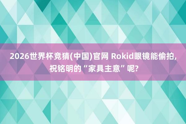 2026世界杯竞猜(中国)官网 Rokid眼镜能偷拍, 祝铭明的“家具主意”呢?