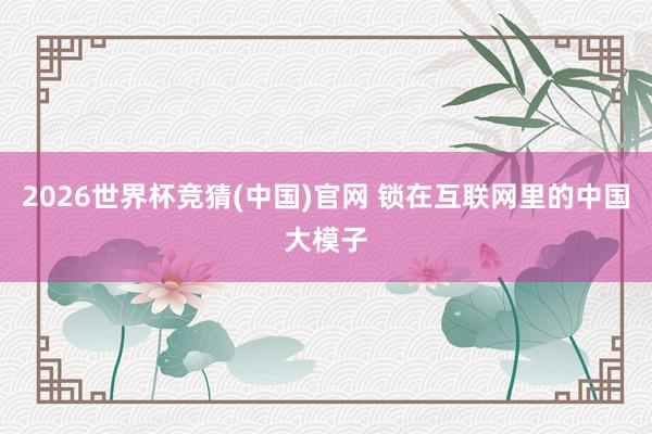 2026世界杯竞猜(中国)官网 锁在互联网里的中国大模子