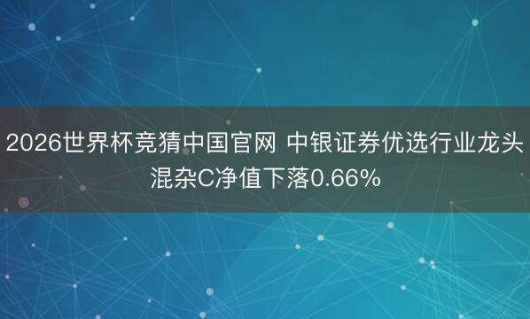 2026世界杯竞猜中国官网 中银证券优选行业龙头混杂C净值下落0.66%
