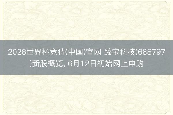 2026世界杯竞猜(中国)官网 臻宝科技(688797)新股概览, 6月12日初始网上申购