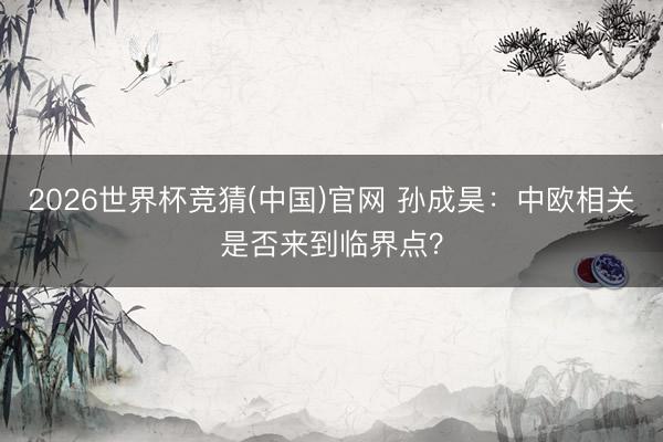 2026世界杯竞猜(中国)官网 孙成昊:中欧相关是否来到临界点?