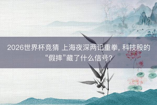 2026世界杯竞猜 上海夜深两记重拳, 科技股的“假摔”藏了什么信号?