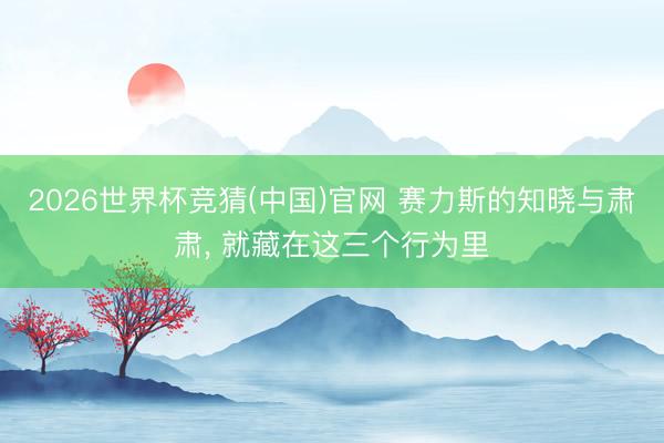 2026世界杯竞猜(中国)官网 赛力斯的知晓与肃肃, 就藏在这三个行为里
