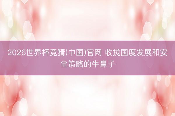 2026世界杯竞猜(中国)官网 收拢国度发展和安全策略的牛鼻子