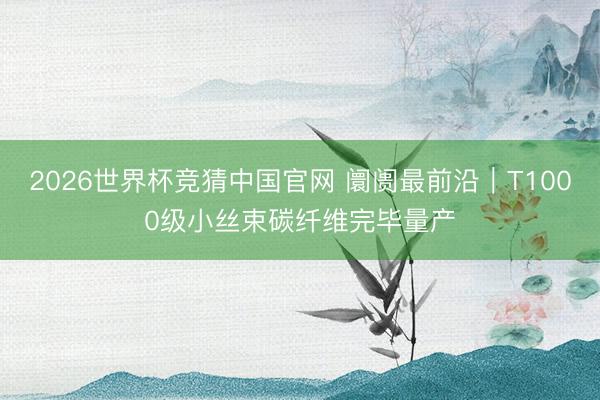 2026世界杯竞猜中国官网 阛阓最前沿|T1000级小丝束碳纤维完毕量产