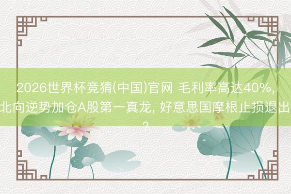 2026世界杯竞猜(中国)官网 毛利率高达40%, 北向逆势加仓A股第一真龙, 好意思国摩根止损退出?