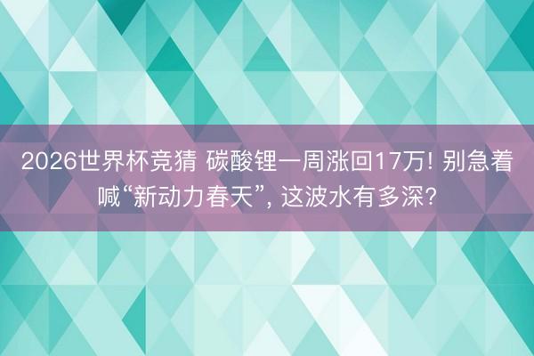 2026世界杯竞猜 碳酸锂一周涨回17万! 别急着喊“新动力春天”, 这波水有多深?