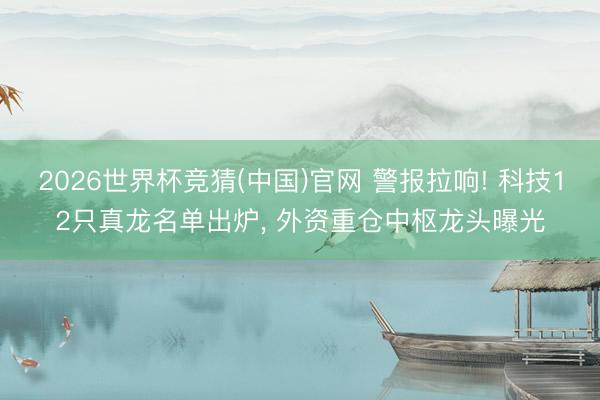 2026世界杯竞猜(中国)官网 警报拉响! 科技12只真龙名单出炉, 外资重仓中枢龙头曝光